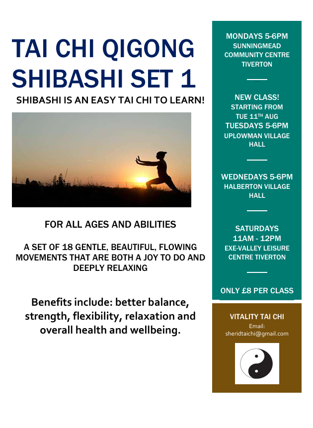 Tai Chi Qigong Shibashi Set 1 Tai Chi Qigong Shibashi Set 1